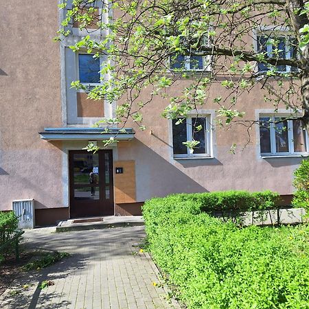 Apartament Katrin II Stary Toruń Dış mekan fotoğraf