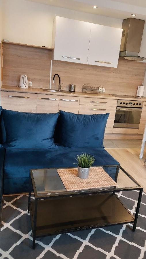 Apartament Katrin II Stary Toruń Dış mekan fotoğraf